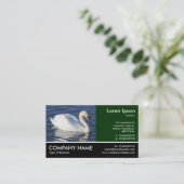 Foto: Mute Swan Visitekaartje (Staand voorkant)