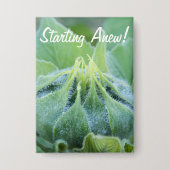 Foto natte zonnebloem Bud Close-up Fotokaart (Voorkant)