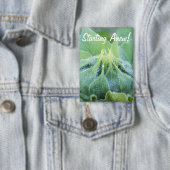 Foto natte zonnebloem Bud Close-up Fotokaart (Insitu)