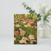 Foto natumn Forest Floor Briefkaart (Staand voorkant)