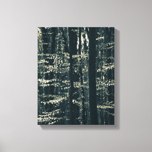 Foto natuur beukenbos canvas afdruk (Voorkant)