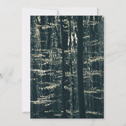 Foto natuur beukenbos feestdagenkaart (Voorkant)