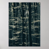 Foto natuur beukenbos poster (Voorkant)