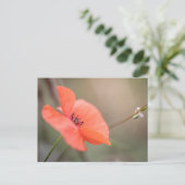 Foto Natuur papavery Briefkaart (Staand voorkant)