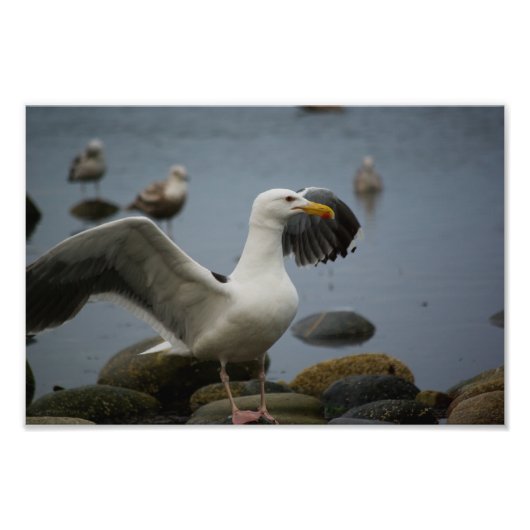 Foto niet storen afdruk (Voorkant)