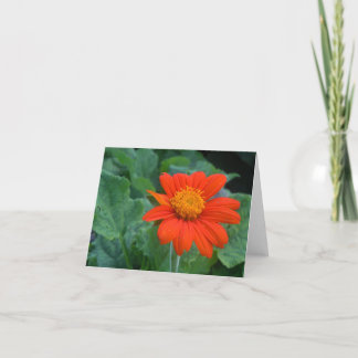 Foto Notecard Kaart