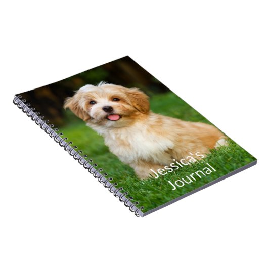 Foto notitieboek (Rechterzijde)