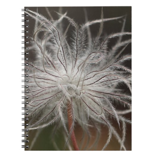 Foto notitieboek (80 pagina's B&W) (Voorkant)