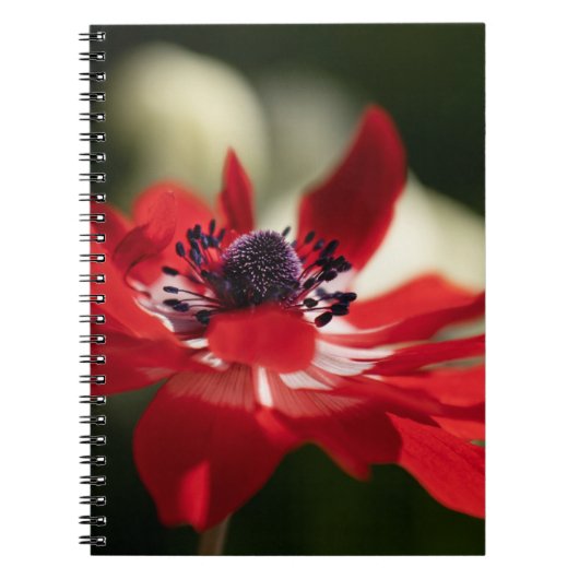 Foto notitieboek (80 pagina's B&W) (Voorkant)