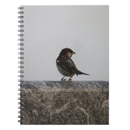Foto notitieboek (80 pagina's B&W) (Voorkant)