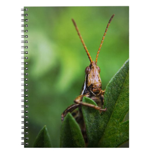 Foto notitieboek (80 pagina's B&W) (Voorkant)