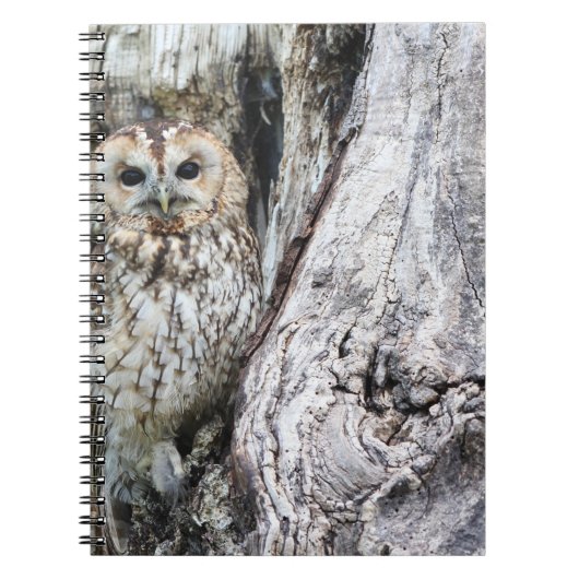 Foto notitieboek (80 pagina's B&W) (Voorkant)