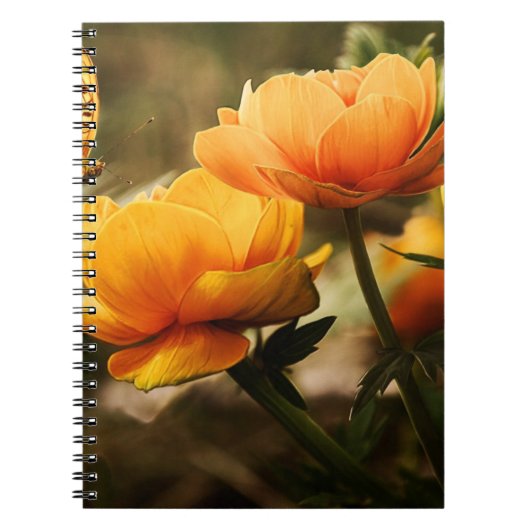 Foto notitieboek (80 pagina's B&W) (Voorkant)