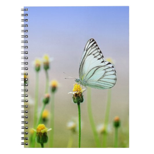 Foto notitieboek (80 pagina's B&W) (Voorkant)