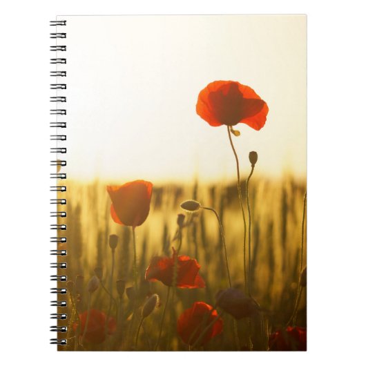 Foto notitieboek (80 pagina's B&W) (Voorkant)