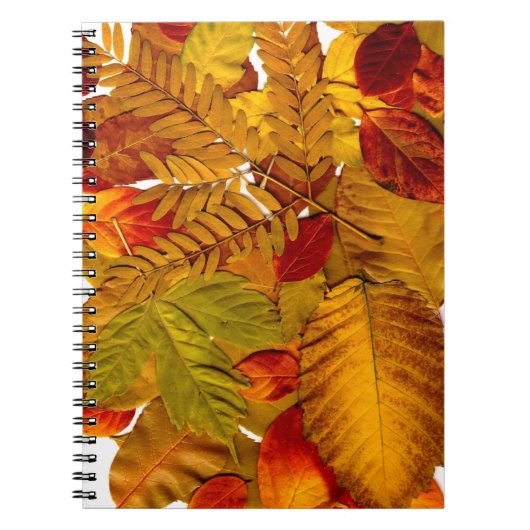 Foto Notitieboek (80 pagina's B&W) (Voorkant)
