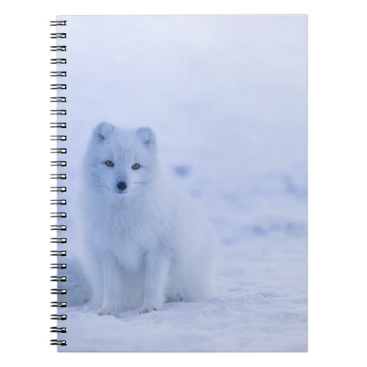 Foto notitieboek (80 pagina's B&W) (Voorkant)