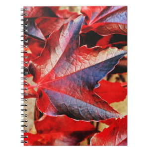 Foto Notitieboek (80 pagina's B&W)