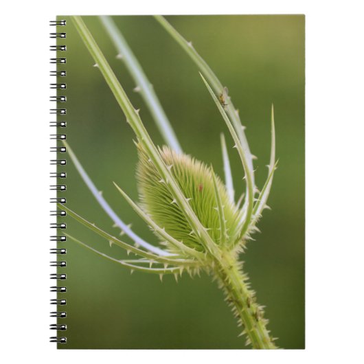 Foto notitieboek (80 pagina's B&W) (Voorkant)