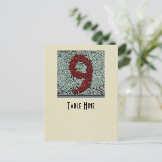 Foto nummer 9 lijstkaart briefkaart (Staand voorkant)