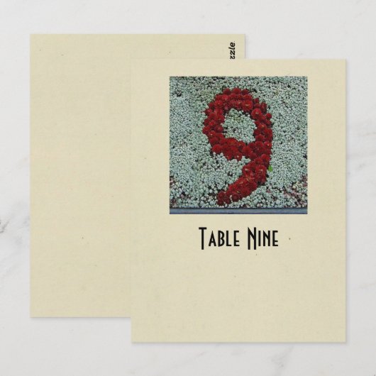 Foto nummer 9 lijstkaart briefkaart (Voorkant / Achterkant)