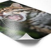 Foto: ocelot foto afdruk (Hoek)