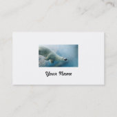 Foto onderwater van een Polair Beer Visitekaartje (Achterkant)