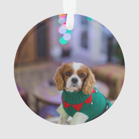 Foto op het achterste kattenhondengedenkteken ornament (achterkant)