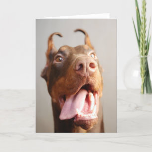 Foto op maat (hond) kaart