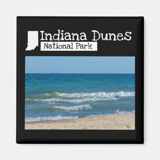 Foto op maat - Indiana Dunes National Park Magneet (Voorkant)