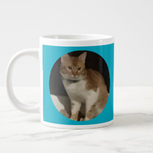 Foto Oranje Kat Tekst Grote Koffiekop