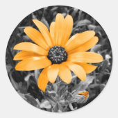 Foto Oranje lentedagen op zwart-wit Ronde Sticker (Voorkant)