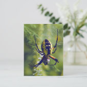 Foto Orb Weaver Spider Briefkaart (Staand voorkant)