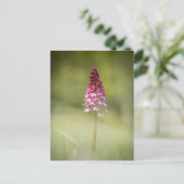 Foto Orchid Natuur Briefkaart (Staand voorkant)