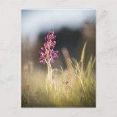Foto Orchid Natuur Briefkaart (Voorkant)