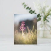 Foto Orchid Natuur Briefkaart (Staand voorkant)