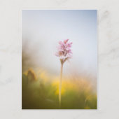 Foto Orchid Natuur Briefkaart (Voorkant)