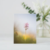 Foto Orchid Natuur Briefkaart (Staand voorkant)