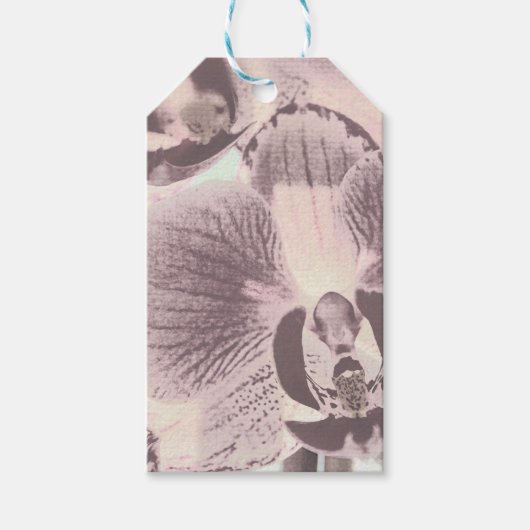 Foto, Orchid, retro Cadeaulabel (Voorkant)