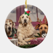 FOTO ORNAMENT - Miller TARTAN Blue Kerstcadeau (Achterkant)