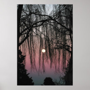 Foto over bomen poster