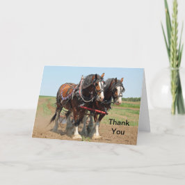Foto Paarden Clydesdale Farming Bedankkaart
