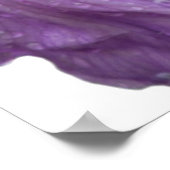 Foto Paarse iris Poster (Hoek)