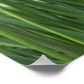 Foto Paarse iris Poster (Hoek)