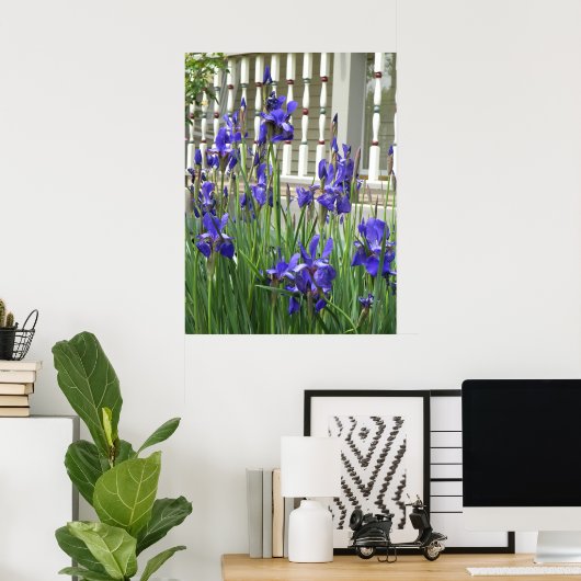 Foto Paarse iris Poster (Thuiskantoor)