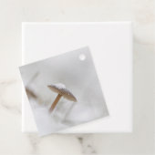 Foto paddenstoel Natuur Bedankjes Labels (In situ)