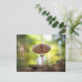 Foto paddenstoel Natuur Briefkaart (Staand voorkant)