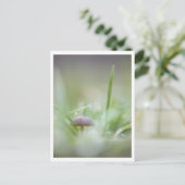 Foto paddenstoel Natuur Briefkaart (Staand voorkant)