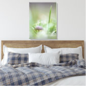 Foto paddenstoel Natuur Canvas Afdruk (Insitu (Slaapkamer))