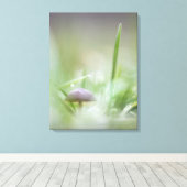 Foto paddenstoel Natuur Canvas Afdruk (Insitu (Houten vloer))